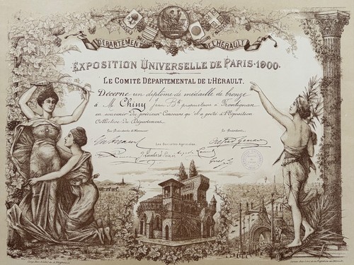 Bronze medaille gewinner - bronze,