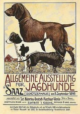 Jagdhunde Allgemeine